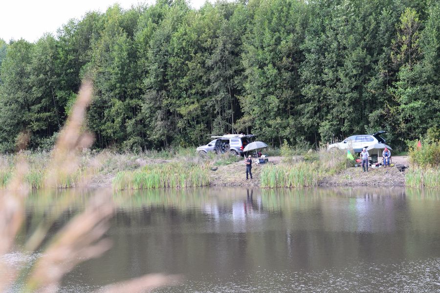 309305335 132063459576421 5974311093368345598 n