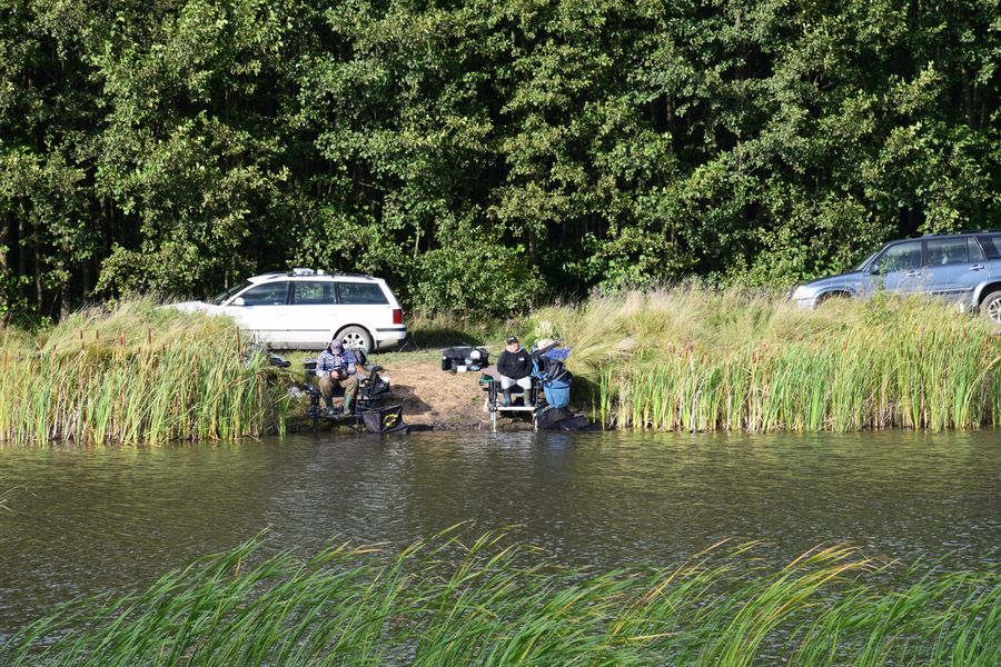 309351852 132063486243085 5230784609943467838 n