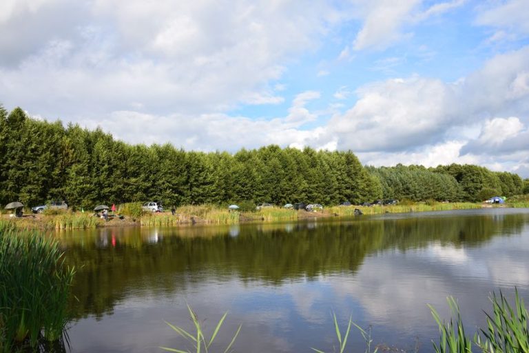 łowisko, staw wędkarski, łowisko wędkarskie, łowisko komercyjne, staw, łowisko Uniejów, łowisko Łódź, łowisko karpiowe konin